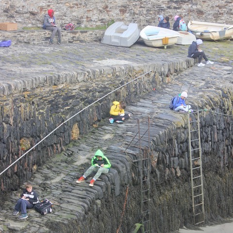 Y8Geog16